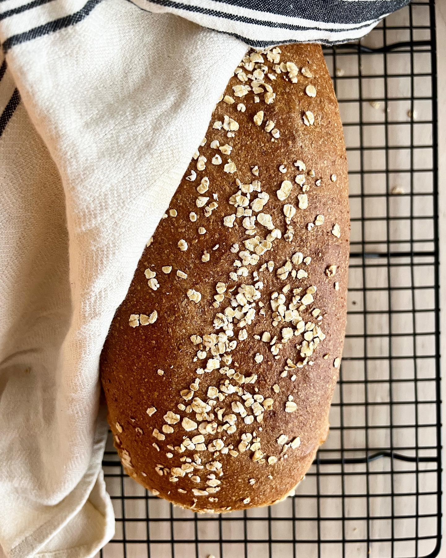 Enkelt grovbröd med fullkornsmjöl som är saftigt och perfekt till frukost eller barnens skollunch 🤎
Recept på 👉🏻fiasfika.com
#fiasfika #matbröd #nybakat #nybakatbröd #bakblogg #matblogg #bröd #godtno #matogvin #møllerens